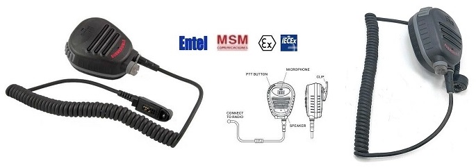 MICROALTAVOCES ENTEL